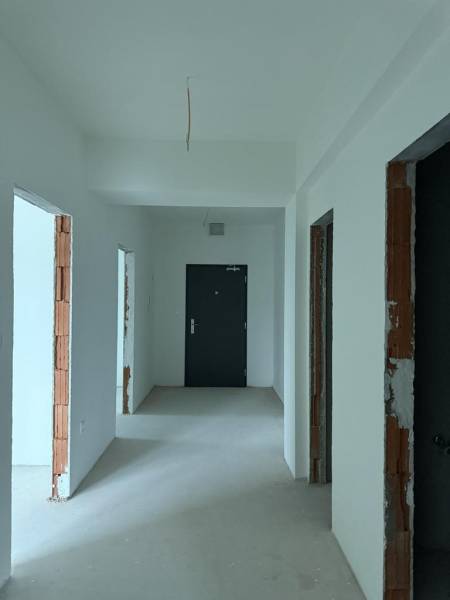 DiamantHoloby3ibt.JPE